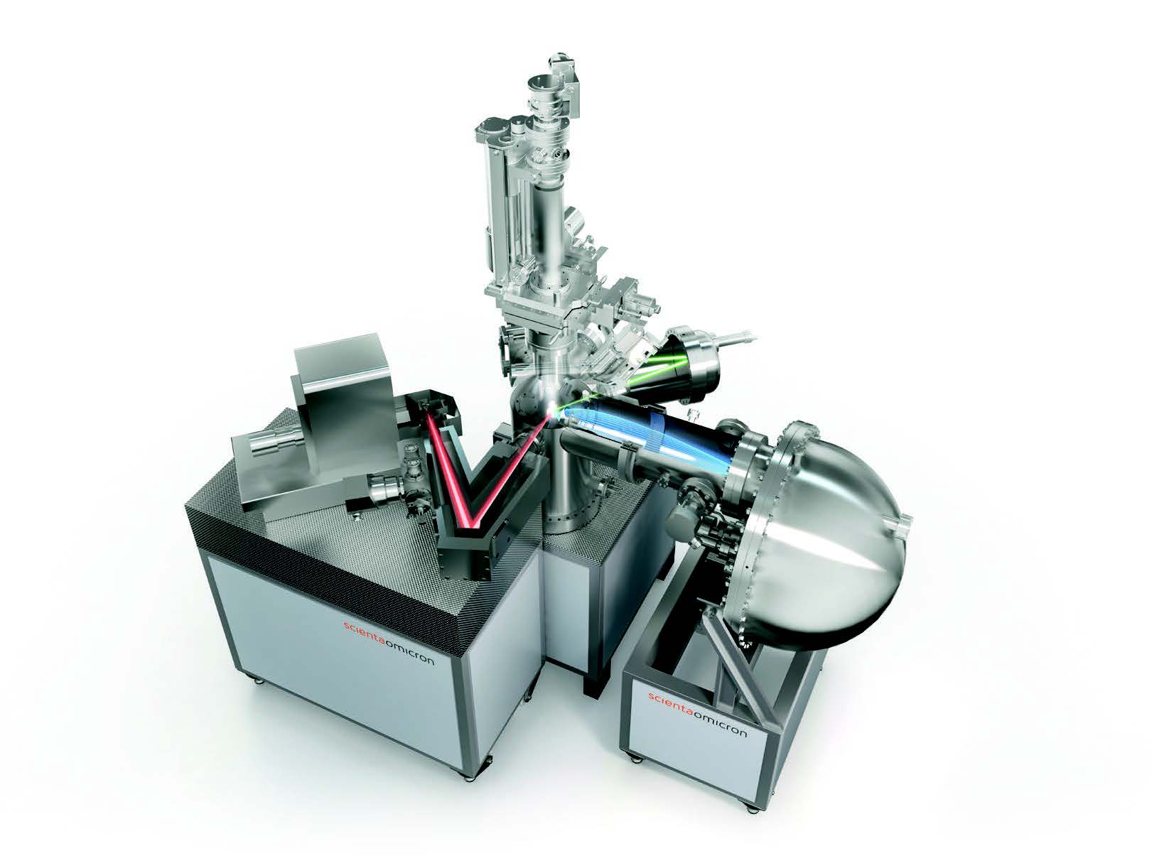 OMG、Elsaエルサ、Nanoナノ、月光爪哇などビカクシダ胞子培養株6種