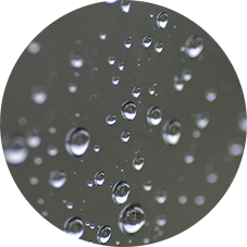 超撥水コーティング塗料