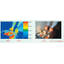 Heat Shielding and Shatter Prevention: 'Eco Multi Film M-IR' - Low Price, High Quality