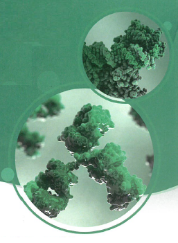 株式会社日本シノバイオロジカル 会社紹介