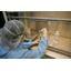Follow-up study and supplementary safety pharmacology study "Central Nervous System"