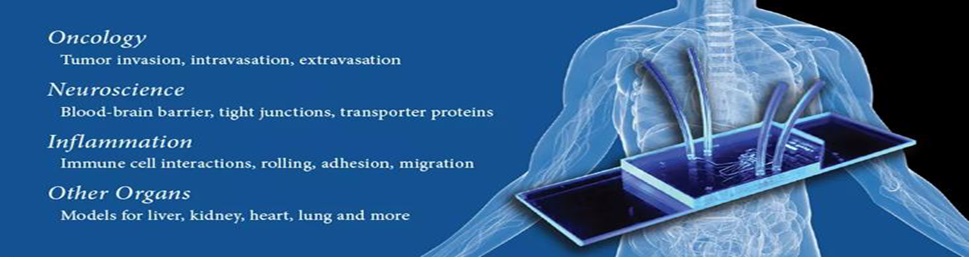 細胞培養用マイクロ流路チップ  『SynVivo』 