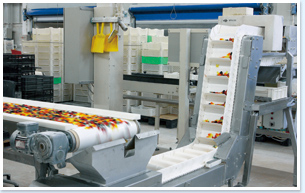 コンベアベルト『プラスチック製モジュラーベルト』