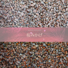 Pebble and stone "Sakura Mikage"