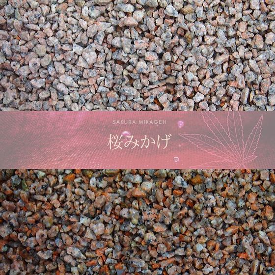 red-pebble-sakura-mikage-ver1.jpg