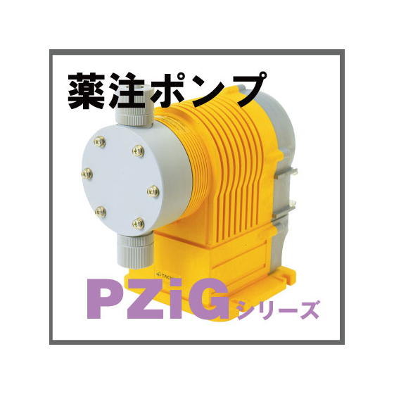 PZiG.jpg