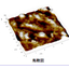 [Analysis Case] Observation of Fine Surface Morphology of Three-Dimensional Cultured Human Skin