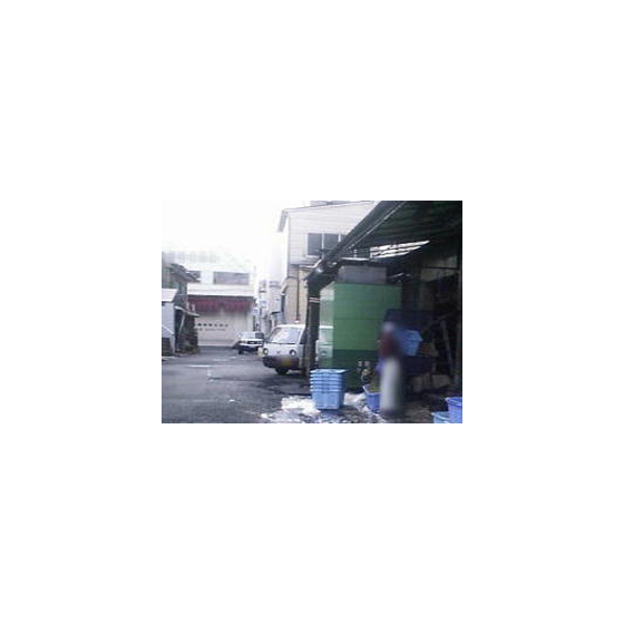 dnx_secchi012.jpeg