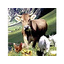 Feed manufacturing machinery and equipment technology for the feed manufacturing industry.