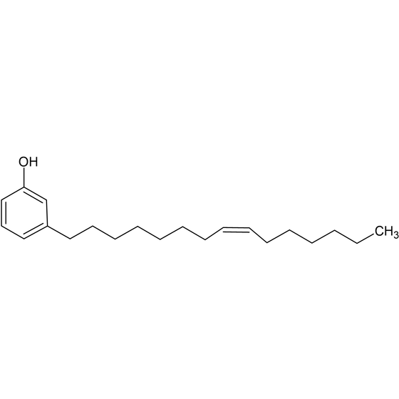 画像3.png