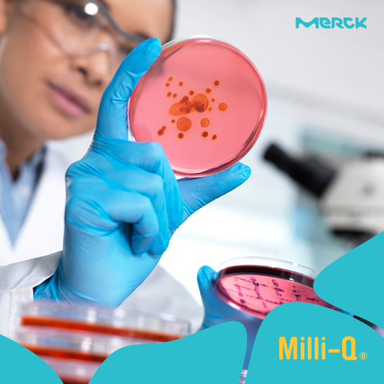 【技術資料】食品微生物検査に好適な水の選択