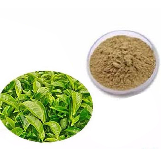 Tea Polyphenols.jpg