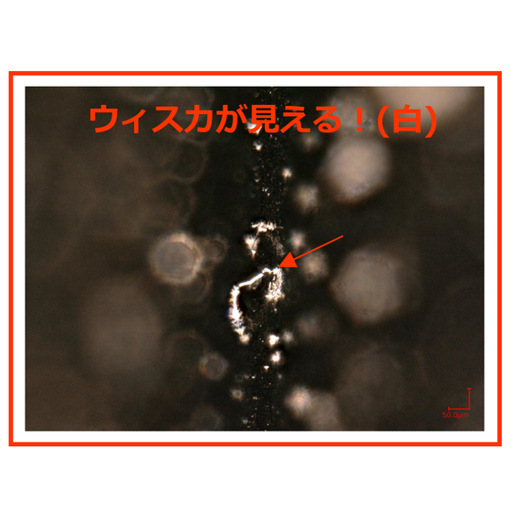 ウィスカ観察.png