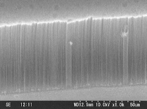 『カーボンナノチューブ』