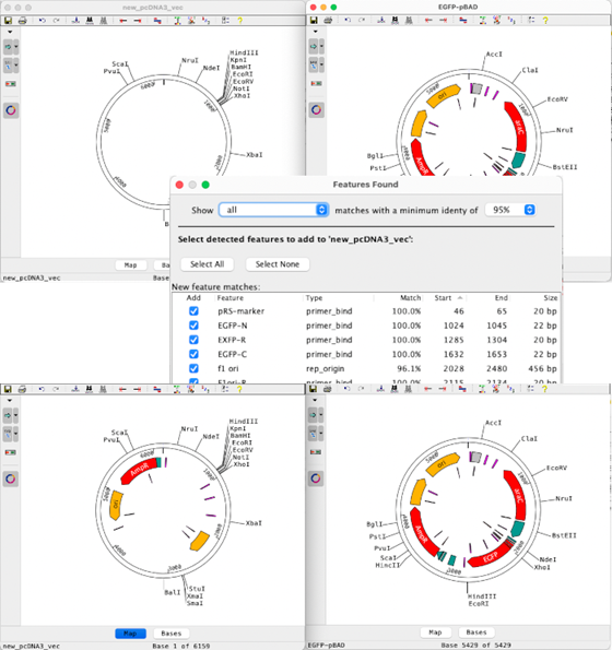 DNA配列解析ソフトウェア『CodonCode Aligner』 ヒューリンクス | イプロスものづくり