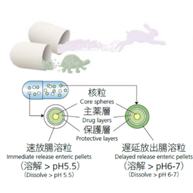 【技術・実績紹介】放出制御製剤の技術（徐放性顆粒）