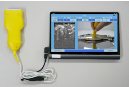 魚の雌雄判別装置『Smart Echo MX2』
