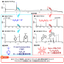 Qualitative Analysis of Organic Materials Used in Perovskite Solar Cells