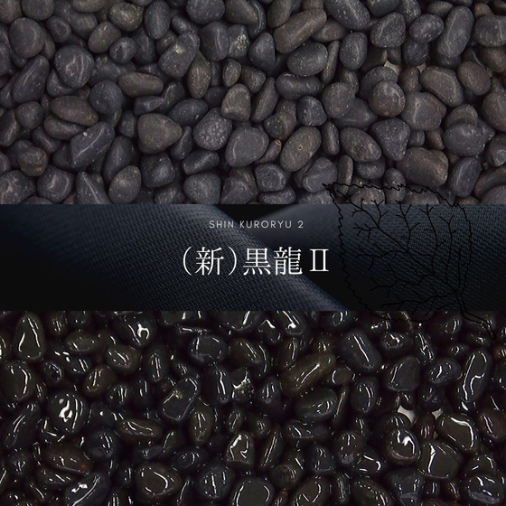 black-pebble-shin-kokuryu-2-ver1.jpg
