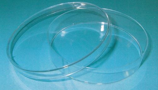 細胞培養用ディッシュ