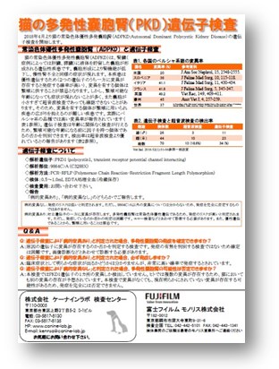 【資料】猫の多発性嚢胞腎（PKD）遺伝子検査