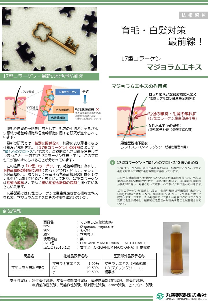 【化粧品原料】マジョラム抽出液BG