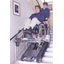 Wheelchair stair lift "Chair Mate TRE-7-1"