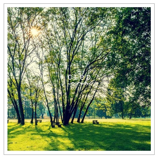 再生紙でできたアウトドアアイテム　crep paper