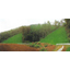 Slope Erosion Prevention Agent "Kuri Coat CP-750"