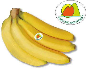 『コロンビア産オーガニックバナナ』