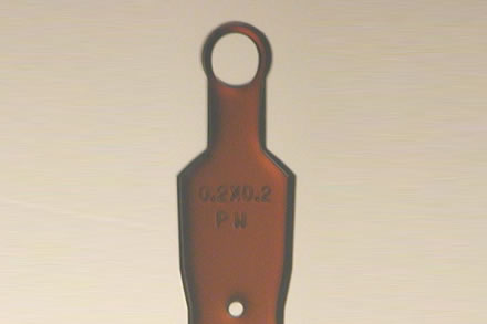 構造生物学研究用ツール『LithoLoops-Viscous』