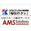 Optimization of SAP operations! Choose SAP remote maintenance services based on implementation results - Success stories.