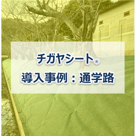 メイン画像.png