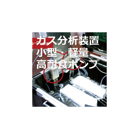 kumamoto-2303.jpg