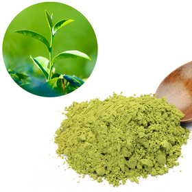 Green Tea Extract - EGCG.jpg