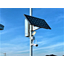 Network surveillance camera 2, cicada, solar light