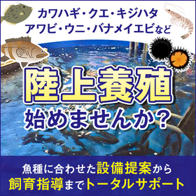 設備導入・飼育・販売など、陸上養殖への新規参入をトータルサポート