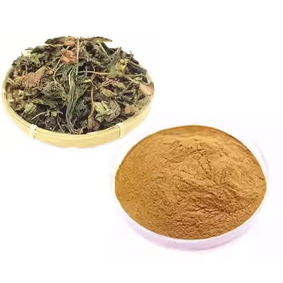 Perilla Extract.jpg