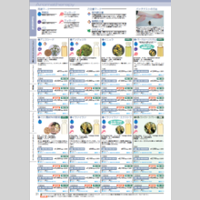 株式会社生活の木　エッセンシャルオイル　製品カタログ