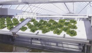 株式会社生物機能工学研究所　事業紹介