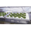 Introduction to the Business of Biofunctional Engineering Research Institute Co., Ltd.