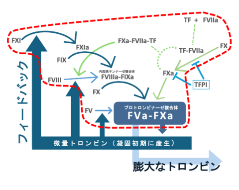 高感度トロンビン産生試験SMAT-APCDキット