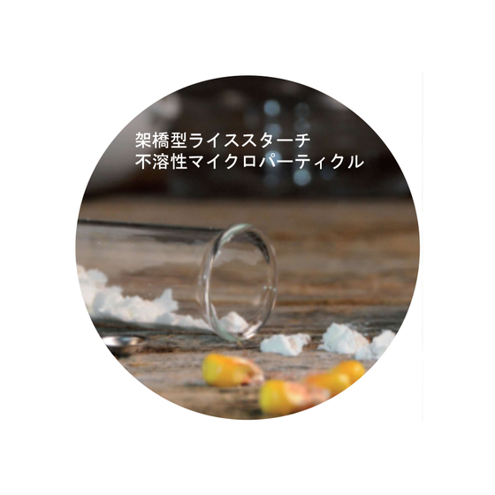 RICE PO4_page-0001.jpg