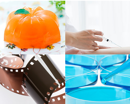 ゼライス株式会社　事業紹介