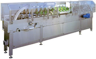 倒立検瓶機　TBI-4500