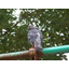 Bird damage prevention: "Key points for choosing a reliable contractor"