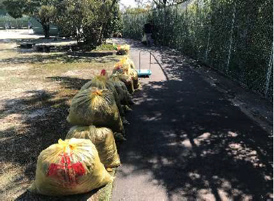 グラウンド周辺清掃