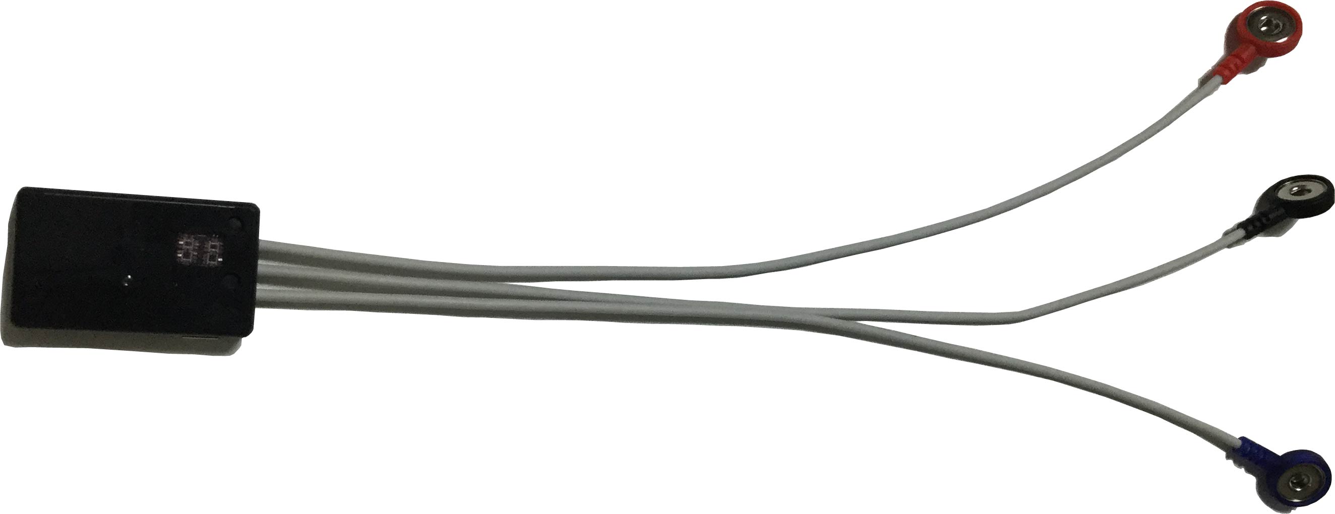 DSPワイヤレスECG/HRロガー