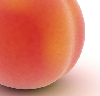 プラスチック塗装サービス