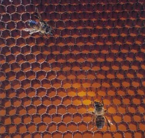 ハニカム 「アラミッドハニカム」